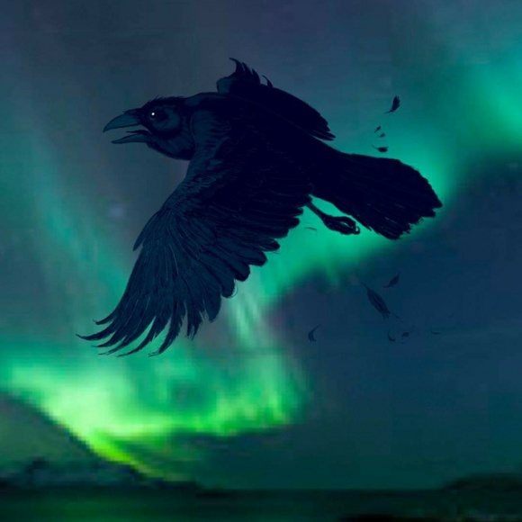 Meet your Posher, AurorasLight! - Picture 1 of 1